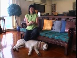 Reward offered in serial dog killer case Instructional Video