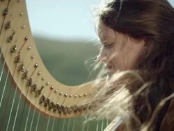 Outdoor Orchestra - Harp Stock Footage