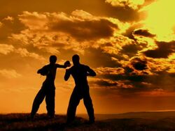 SLOW-MOTION CRANE: Kickboxing Outdoors Stock Footage