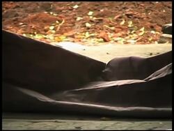 Thirteen killed by armed men in southern town; Calderon sbites News Clip