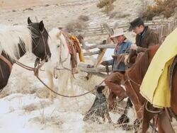 WS Cowboy and cowgirl leaning against a fence with dogs at their feet holding horses' reins / Shell, Wyoming, United States Stock Footage