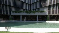 CLEAN : UN agencies appeal over C Africa refugees in Cameroon News Clip