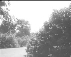 SPRAY SAVER News Clip