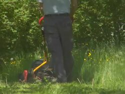 The Lawnmower Man Stock Footage