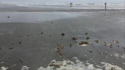 Festive People Remain As Hurricane Approaches TX Instructional Video