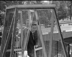 STRICTLY FOR THE BIRDS News Clip