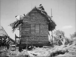 Bay of Pigs invasion and aftermath Propaganda film produced in Cuba Stock Footage