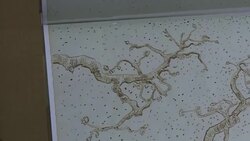 CLEAN : Lost Van Gogh notebook published amid experts row News Clip