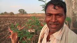 The human cost of India's crippling drought Instructional Video