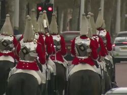 MS Royal Horse Guards at Trooping of the Color / Pall Mall, London, UK Stock Footage
