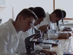 MS Classmates working alongside each other in school lab Stock Footage
