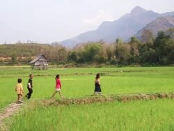 MS PAN TS SLO MO View of Four children walking in single file along trail sometimes stopping to look around / Hmong, Luang Prabang, Laos Stock Footage