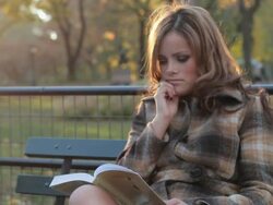 MS SLO MO Woman sitting on park bench and reading book in central park in autumn / New York City, New York, USA. Stock Footage