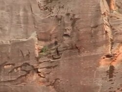 Golden Eagle Soaring Part 7 Stock Footage