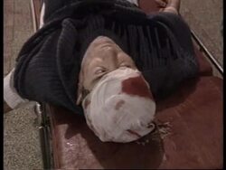 Bosnia - Croats open fire on Muslims News Clip