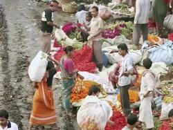 MS Flower market in Kolkata / Kolkata, West Bengal, India Stock Footage