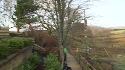 VOICED : Tea in the Highlands Mad grower tends blooming crop News Clip