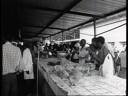 Rwanda - Normality Apparently Returning To Kigali News Clip