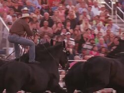A cowboy rides a team of six black horses around a rodeo ring - slow motion. Stock Footage