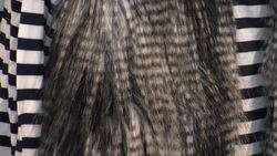 Teenage buying power on the increase Instructional Video