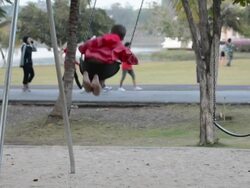 Asia Young boy on the swinging Stock Footage