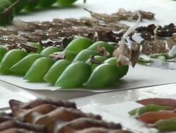 Lepidoptera chrysalis on the table Stock Footage