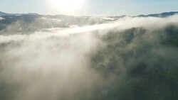 Flying through fog over a forest into the morning sun Stock Footage