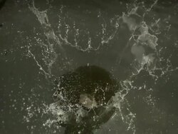 Stone splash in river Stock Footage