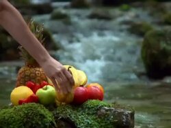 NTSC: Fruit By A Waterfall Stock Footage