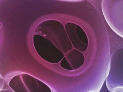 TEMPUR memory foam, animated coloured scanning electron micrograph (SEM). Stock Footage