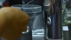 breeding orchid in biotechnology by plant tissue culture Stock Footage