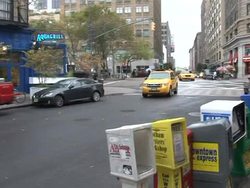 CLEAN: New York's Oyster Bay gets its oysters back News Clip