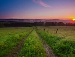 CRANE UP: Lane in Meadow Sunrise Stock Footage