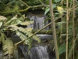 Pull back Waterfall Singapore Stock Footage