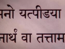 CU PAN Bhagavad Gita in Sanskrit / New York City, New York, USA  Stock Footage