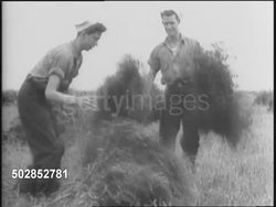 US Sailors Assist Farmers During Wheat Harvest News Clip