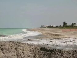 Florida Repairs Dunes, Prepares Coastline For 2013 Hurricane Season Stock Footage