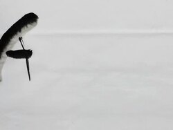 CU Drawing alphabet characters on paper with calligrahpy pen / Seoul, Seoul, South Korea Stock Footage