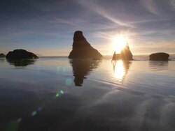 MS TS SLO MO Shot of Woman jogging on beach at sunset / Bandon Beach, Oregon, United States Stock Footage