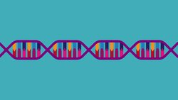TED-Ed: Where do genes come from? - Carl Zimmer Instructional Video