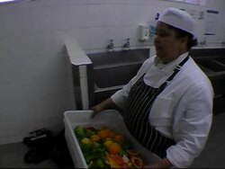 Earth worms the secret to recycling waste News Clip