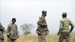 CLEAN : Situation calms after fighting on DR Congo Rwanda border News Clip