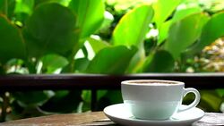 hot coffee cup in cafe Stock Footage