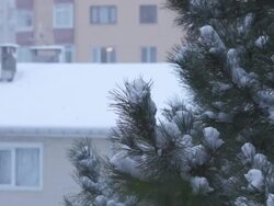 Snowstorm Stock Footage