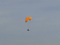 Paraglider in Air Stock Footage