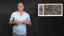 The Mystery of the Eocene's Lethal Lake Instructional Video