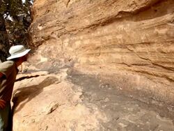HD video Hiker inspects petroglyphs Southeast Colorado Stock Footage