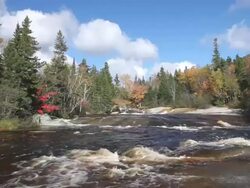 Autumn River Stock Footage