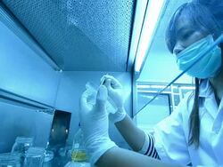 Scientist and bio lab experiment Stock Footage