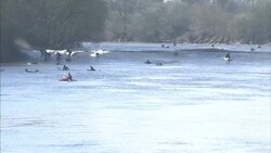 Surfers On The River Severn News Clip